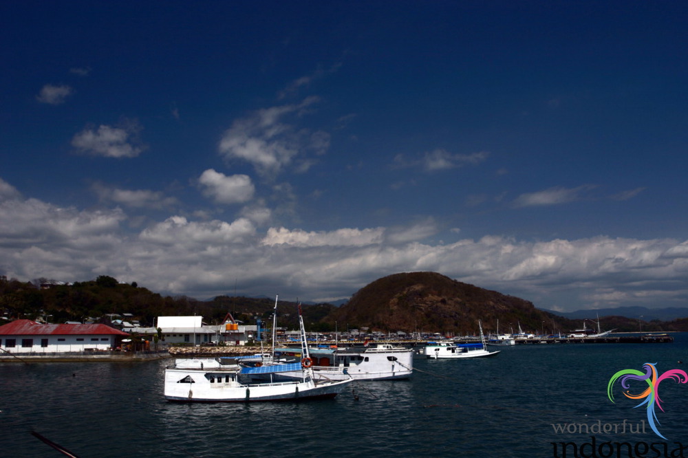 truly-asia-flores_d_1dfb415.jpg
