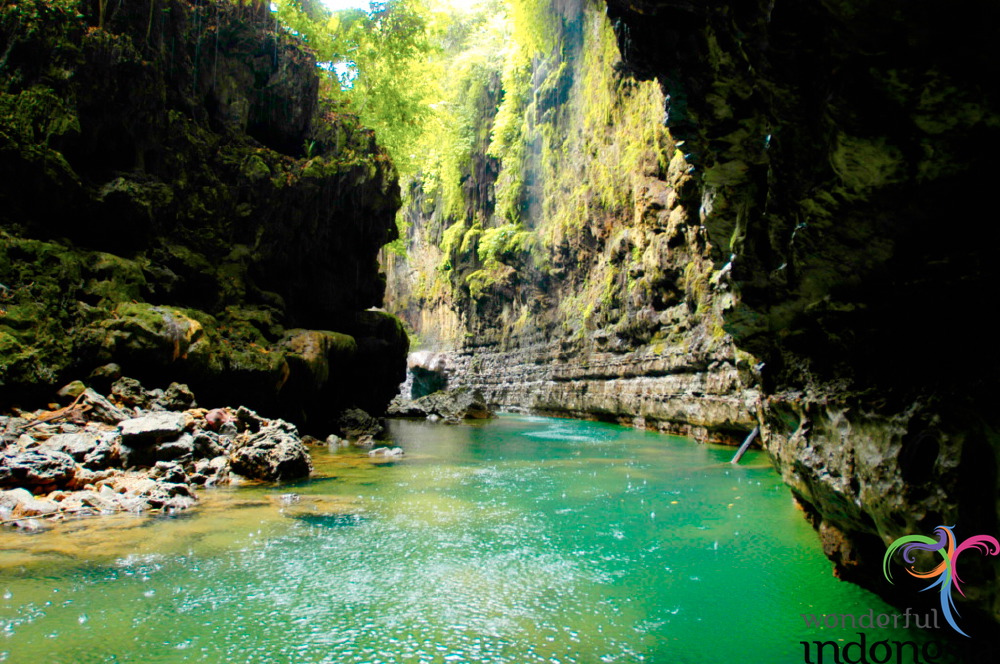 truly-asia-green_ca_1dfb48f.jpg