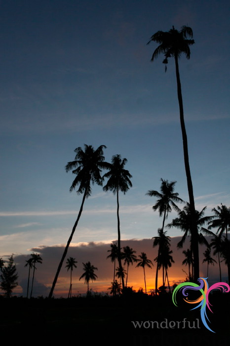 truly-asia-pasir_pa_1dfb3cf.jpg