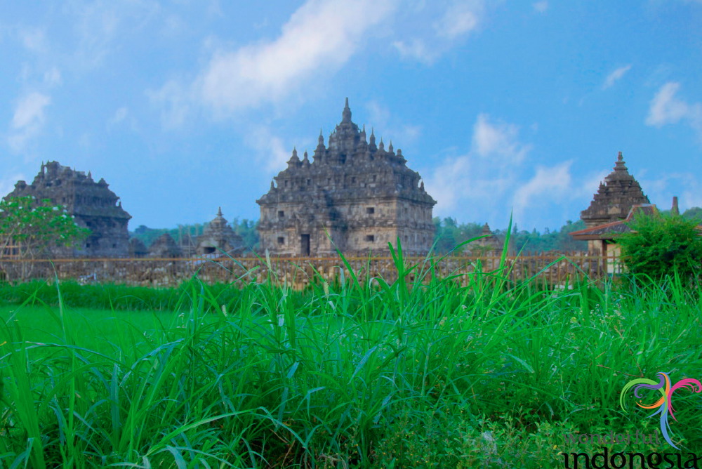 truly-asia-plaosan__1dfb4a5.jpg