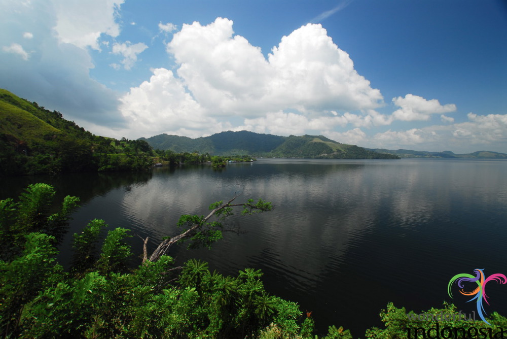 truly-asia-sentani__1dfb462.jpg