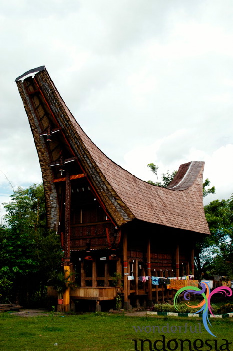 truly-asia-toraja_h_1dfb480.jpg