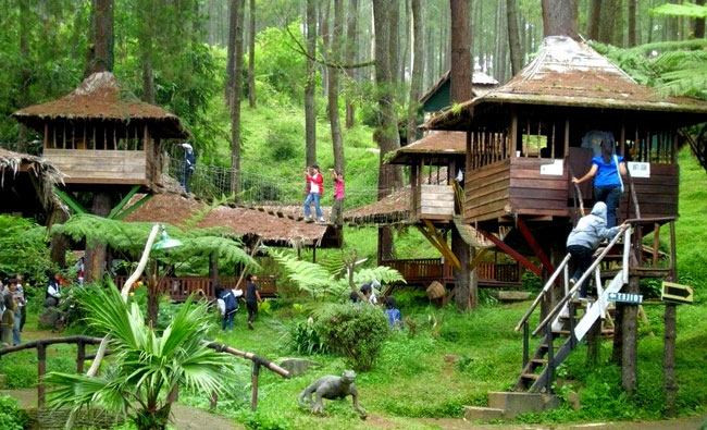 Rumah Pohon Jatiasih in Bekasi City, West Java Province