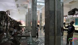 bandung-geological-museum-west-java-3.jpg