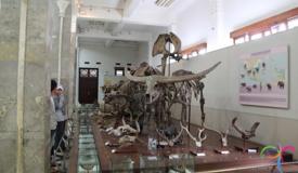 bandung-geological-museum-west-java-5.jpg