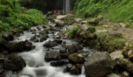 curug-cibodas-west-java-1.jpg