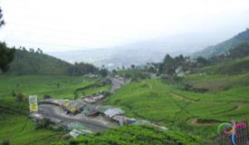 puncak-mountain-pass-west-java-3.jpg