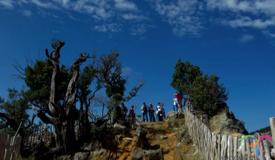 tangkuban-perahu-volcanic-crater-west-java-2.jpg