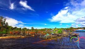 sentarum-lake-kapuas-hulu-west-kalimantan-1.JPG