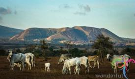 dompu-regency-sumbawa-island-1.jpg