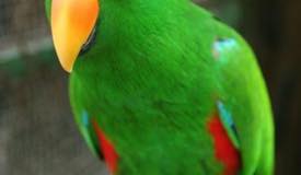 gili-meno-bird-park-lombok-2.jpg