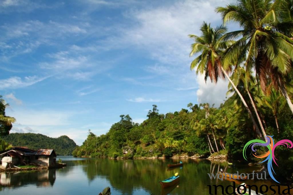 West Papua - West Irian Jaya Tourism - Photo Gallery - fakfak papua