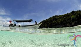 underwater-raja-ampat-papua-barat-8.jpg