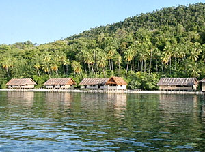 Accommodation Facility In Raja Ampat Islands Include Raja Ampat Hotel ...