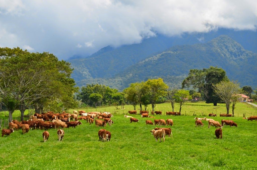 Padang Mangateh in Padang City, West Sumatra Province