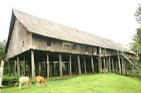 betang_house__tumba_1c838d7