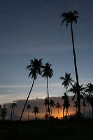 pasir_padi_beach__b_1c838ab