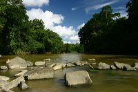 tumbang_dahuwe__cen_1c838e0