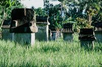 waruga_site__south_sulawesi