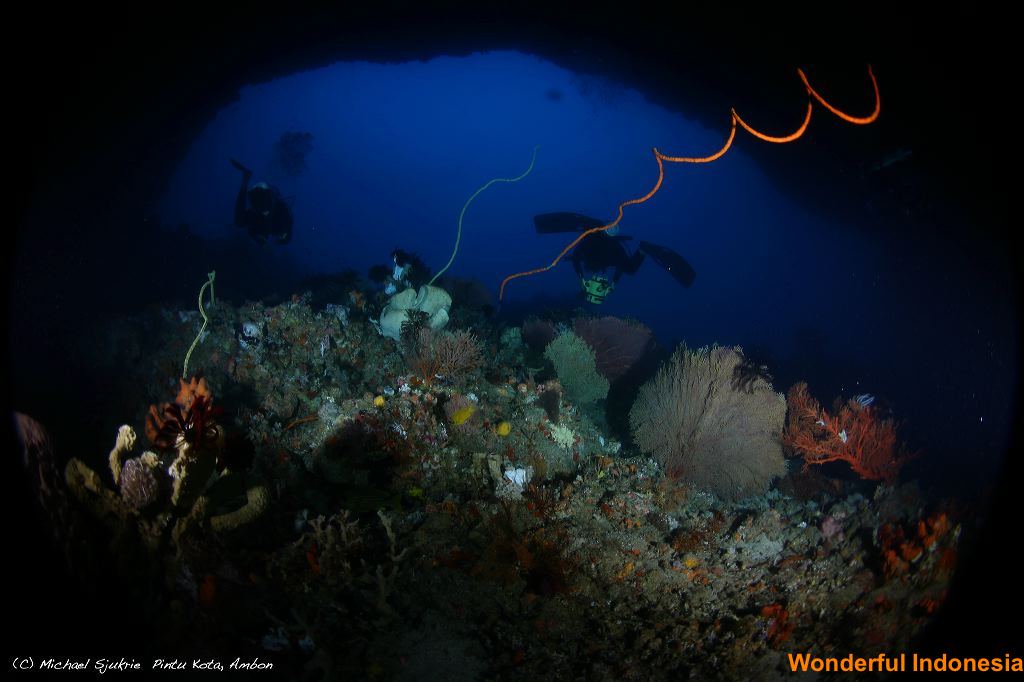 ambon-underwater-2-_1c83890.jpg