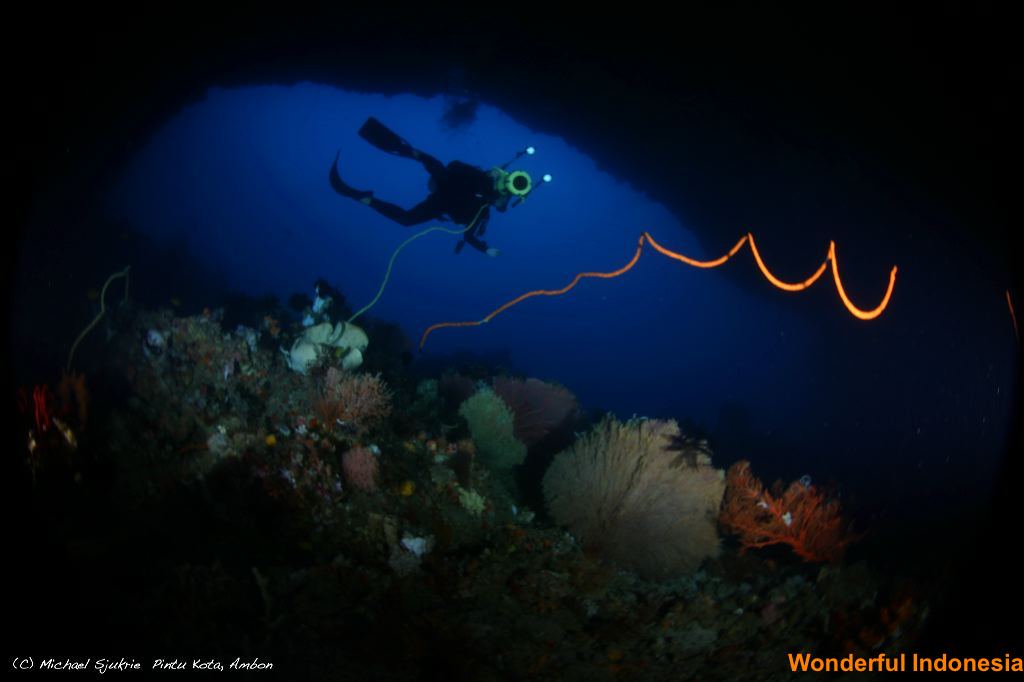 beautiful-of-ambon-_1c83893.jpg