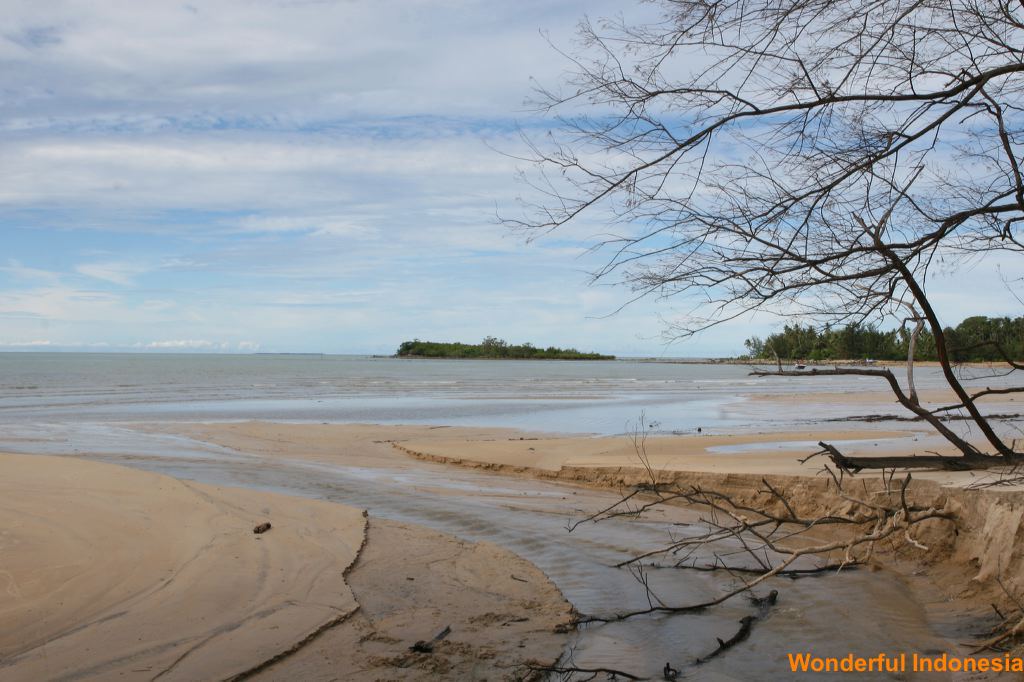 burung_mandi_beach__1c838b8.jpg