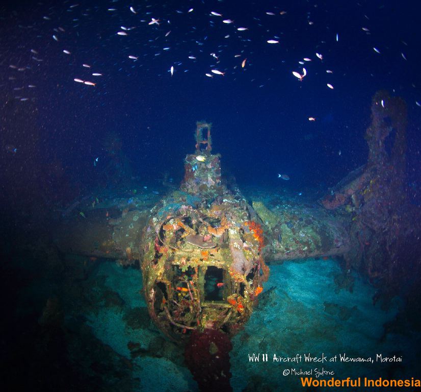 diving_at_morotai_i_1c83950.jpg