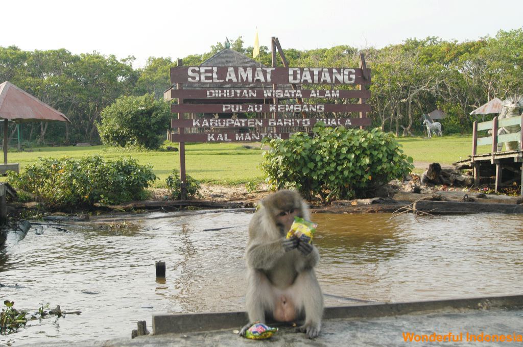 forest_tourism_site_1c83980.jpg