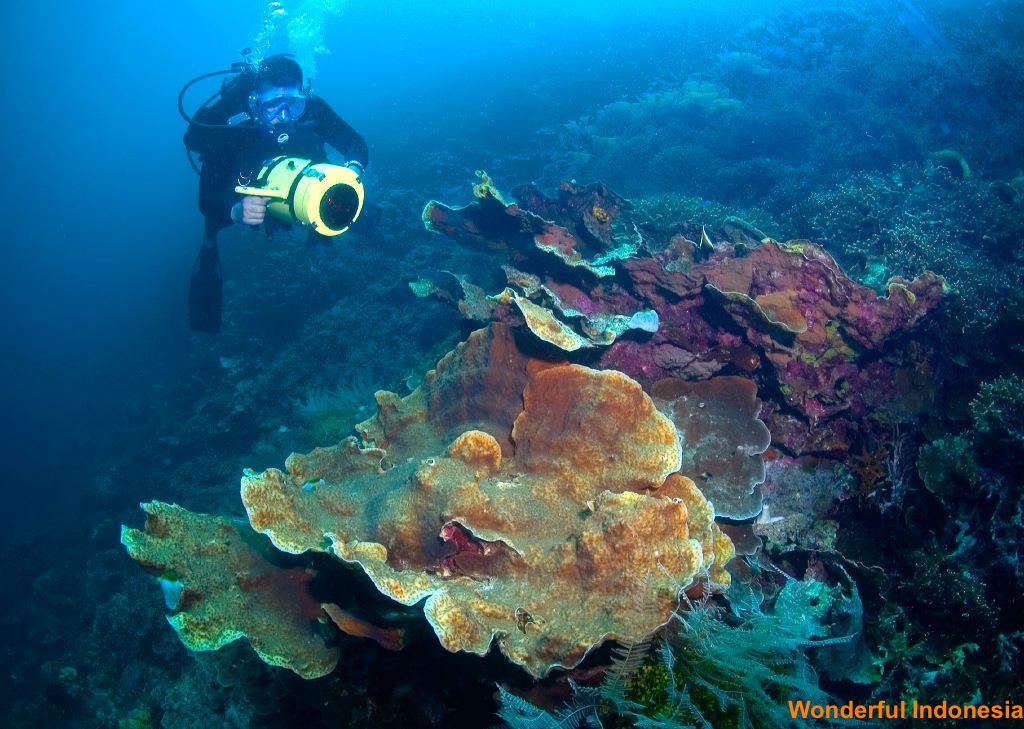 hari_island__southe_1c83975.jpg
