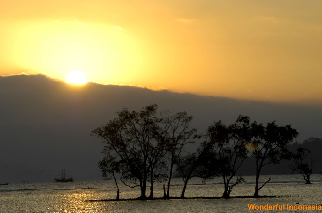 kalianda_site__lamp_1c8394a.jpg