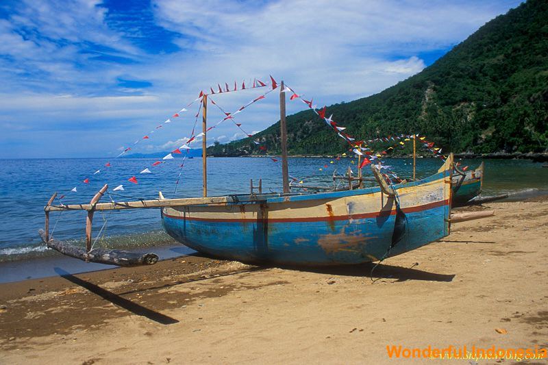 olele_beach_diving__1c83905.jpg