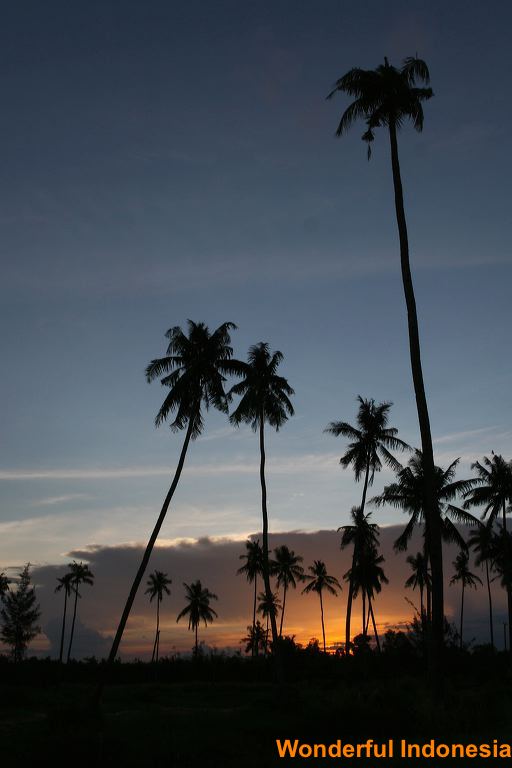 pasir_padi_beach__b_1c838ab.jpg