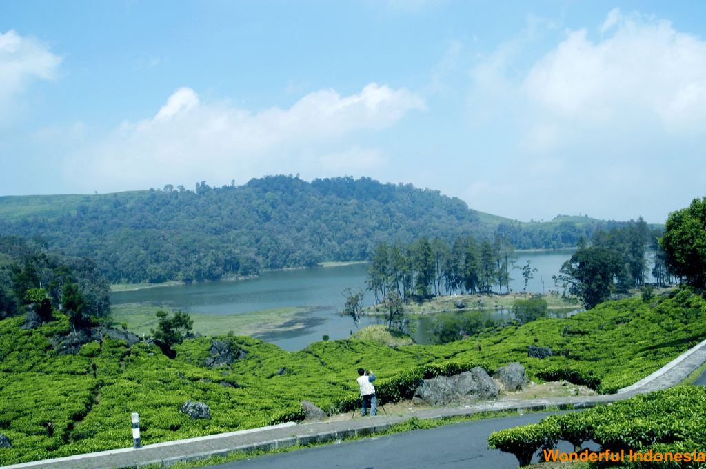 patengang_natural_s_1c87d88.jpg