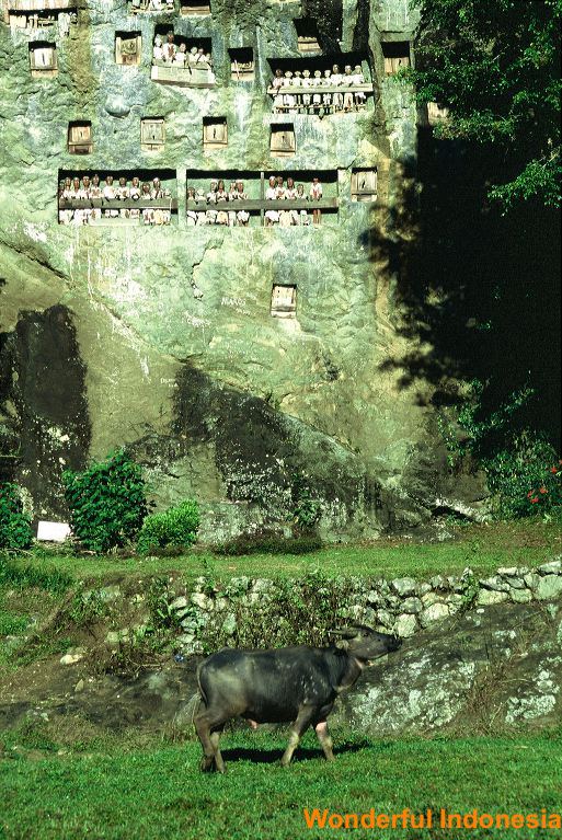 toraja_grave_wall___1c8398d.jpg