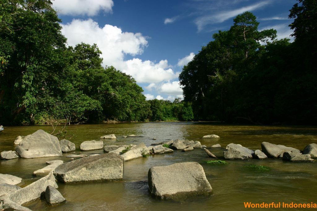 tumbang_dahuwe__cen_1c838e0.jpg