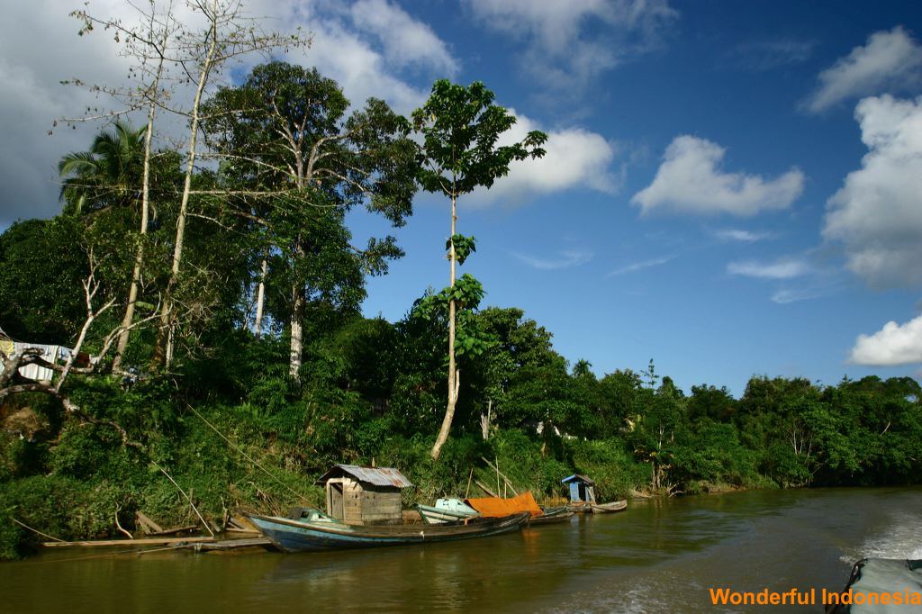 tumbang_samba__cent_1c838e1.jpg
