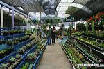 kusuma_agro_tour_batu