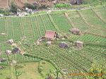 selecta_batu_indonesia