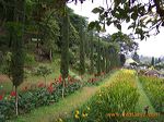 selecta_batu_indonesia_1