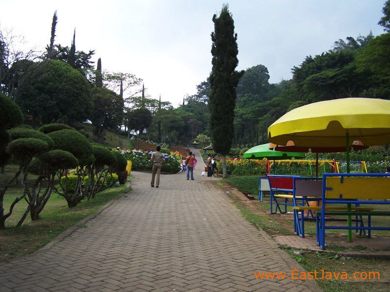 selecta_batu_east_java_3.jpg