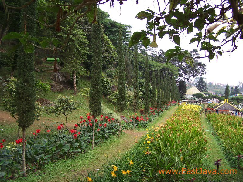 selecta_batu_indonesia_1.jpg