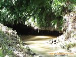 embultuk_cave_blitar_3c1bfb