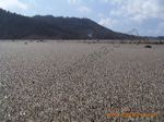jolosutro_beach_blit_3c1bfe