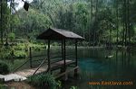 rambut_monte_blitar_3