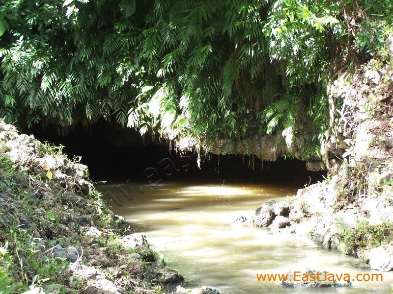 embultuk_cave_blitar_3c1bfb.jpg