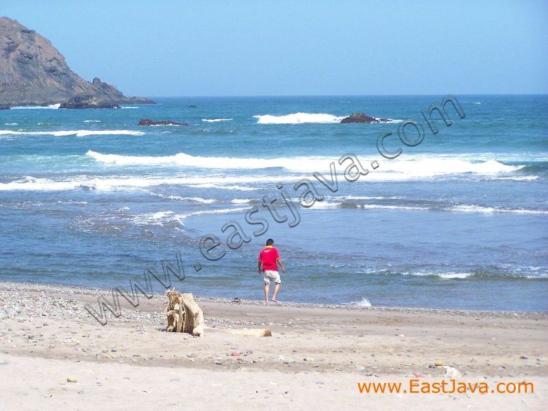 jolosutro_beach_blit_3c1bfd.jpg