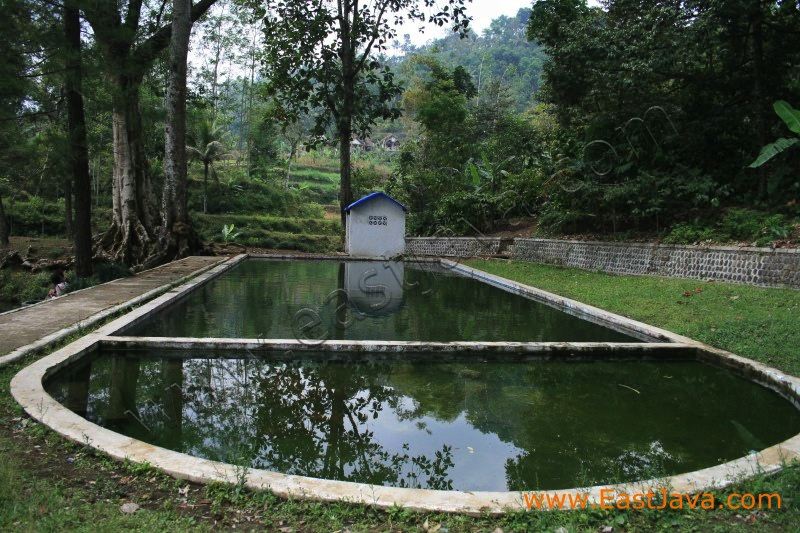 rambut_monte_blitar__3c1c07.jpg