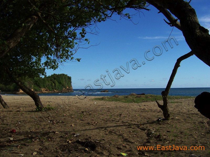 tambakrejo_beach_bli_3c1c0e.jpg