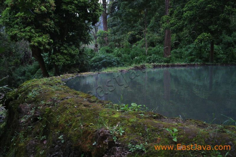 dhamar_wulan_natural_3c1cef.jpg