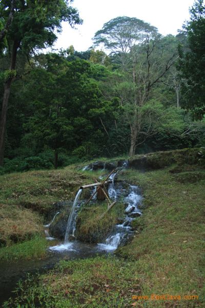 dhamar_wulan_natural_3c1cf0.jpg